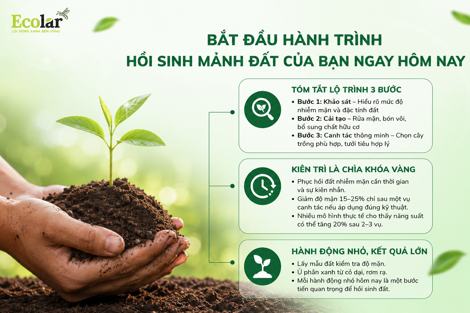 Bắt Đầu Hành Trình Hồi Sinh Mảnh Đất Của Bạn Ngay Hôm Nay