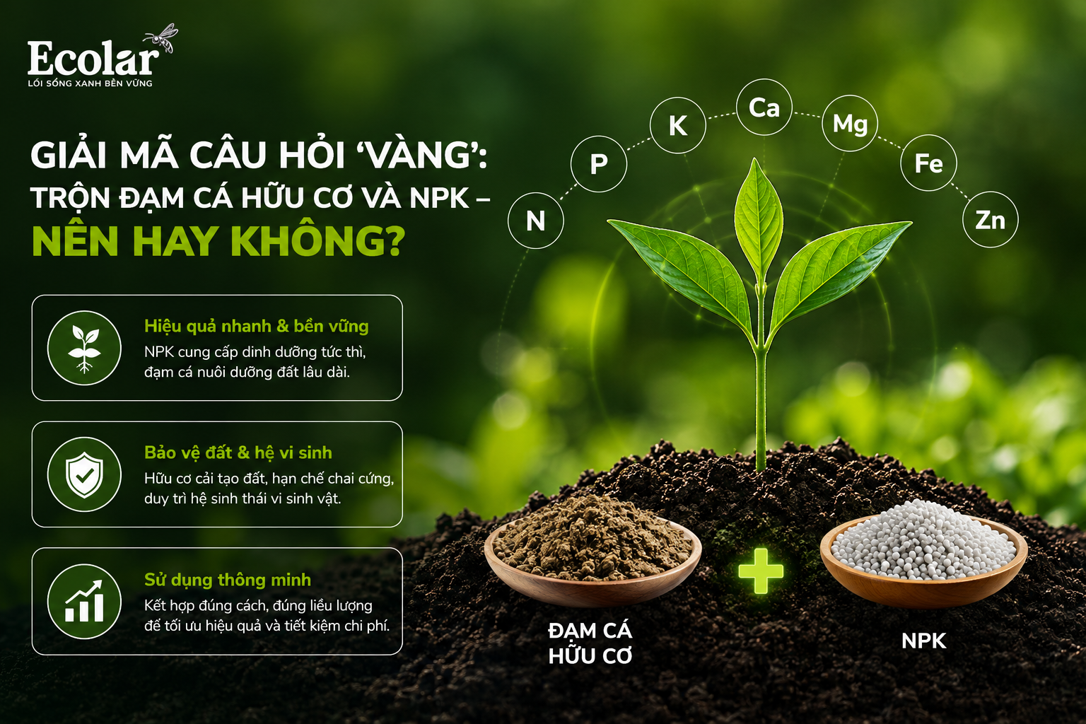 Giải Mã Câu Hỏi 'Vàng': Trộn Đạm Cá Hữu Cơ và NPK - Nên Hay Không?