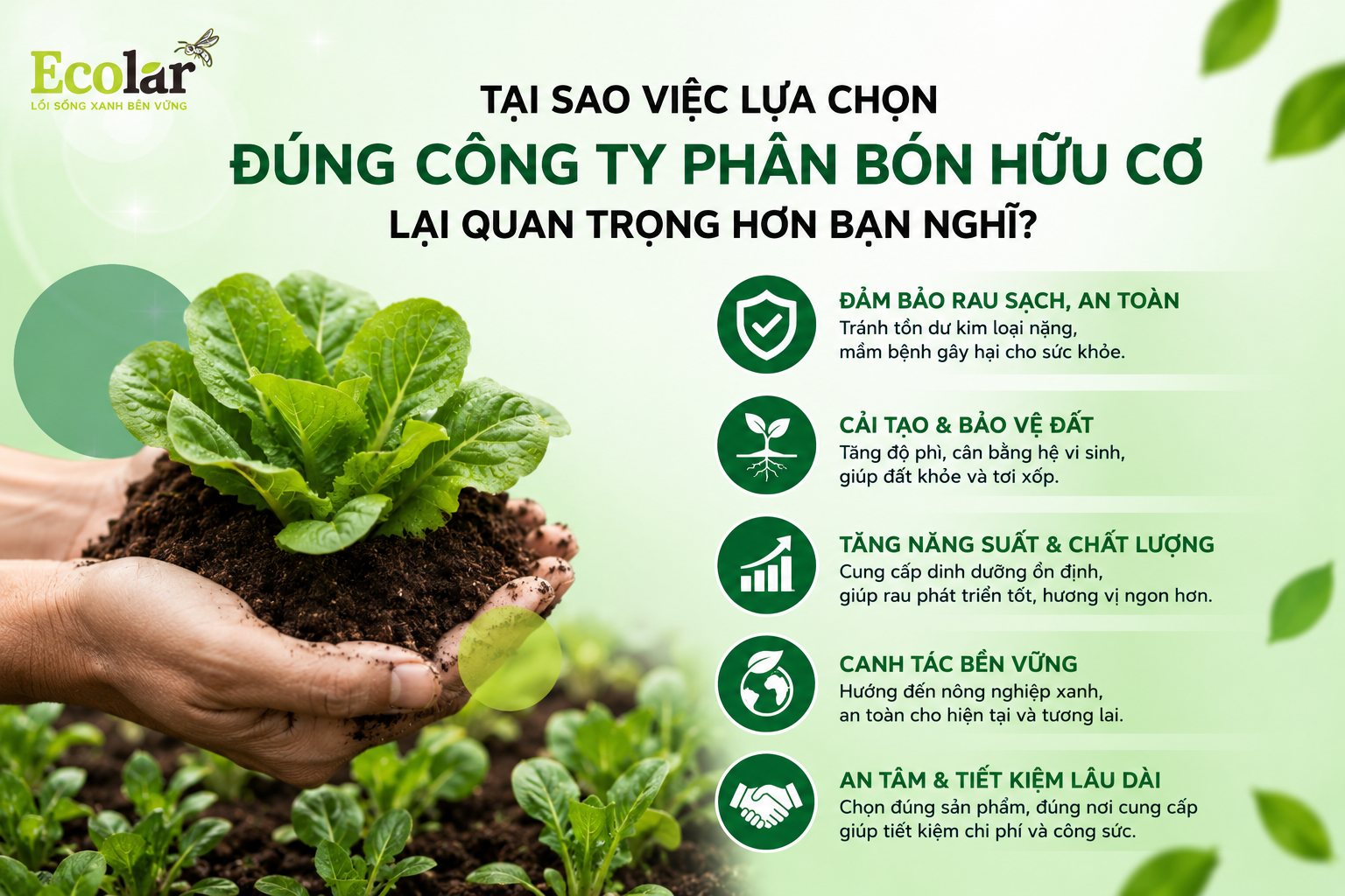 Tại Sao Việc Lựa Chọn Đúng Công Ty Phân Bón Hữu Cơ Lại Quan Trọng Hơn Bạn Nghĩ?