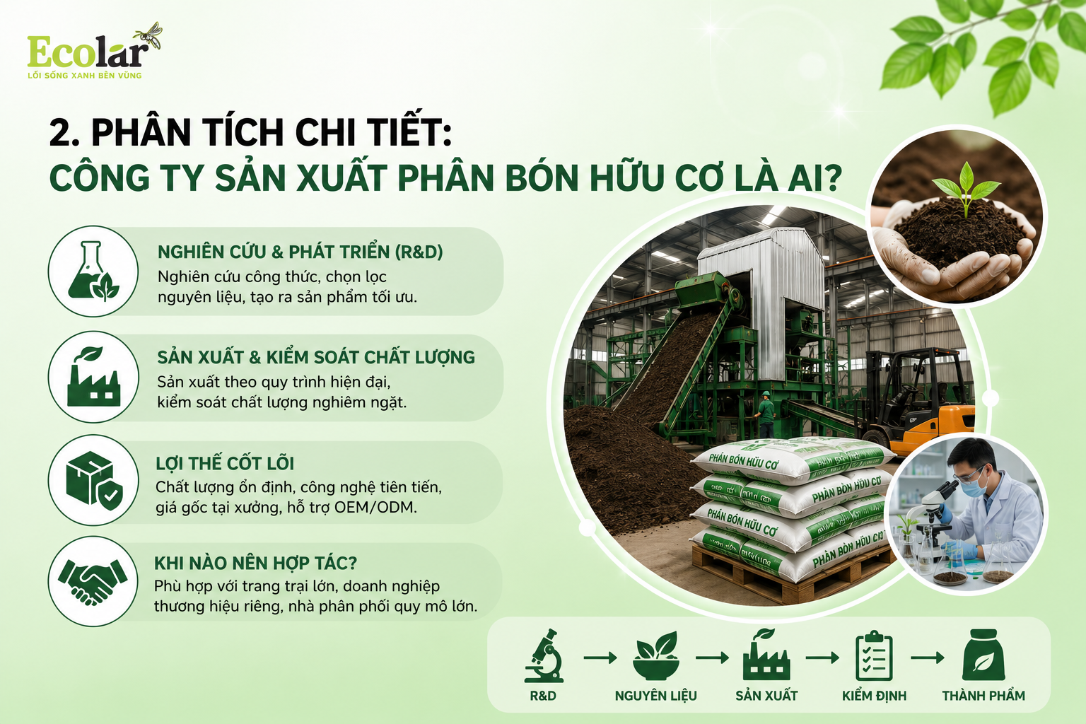 Phân Tích Chi Tiết: Công Ty Sản Xuất Phân Bón Hữu Cơ Là Ai?