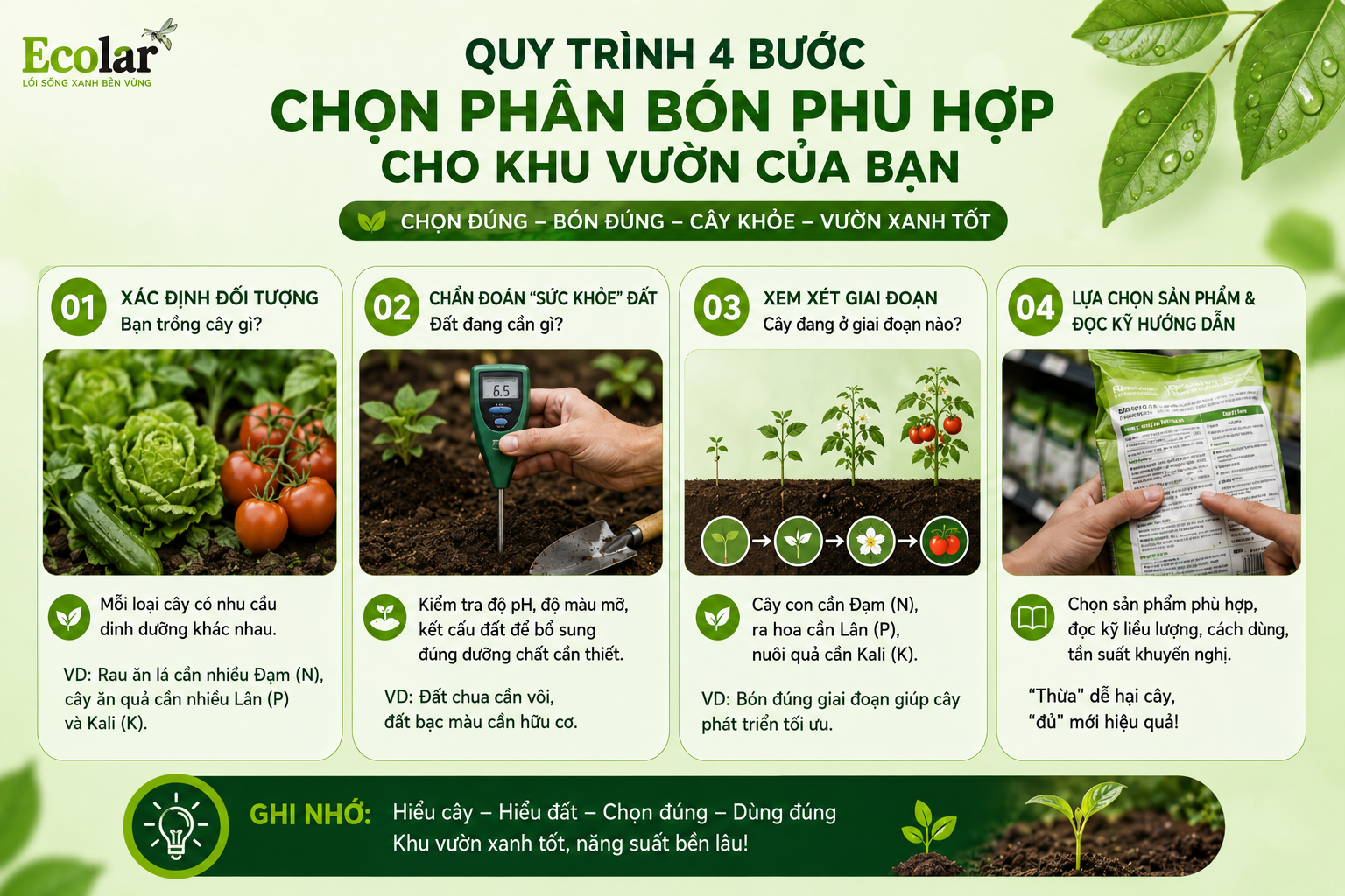Quy Trình 4 Bước Chọn Phân Bón Phù Hợp Cho Khu Vườn Của Bạn
