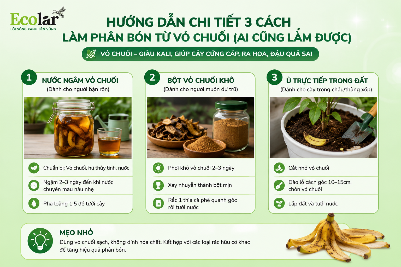 Hướng Dẫn Chi Tiết 3 Cách Làm Phân Bón Từ Vỏ Chuối (Ai Cũng Làm Được)