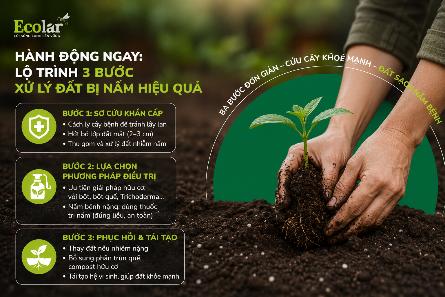 Hành Động Ngay: Lộ Trình 3 Bước Xử Lý Đất Bị Nấm Hiệu Quả
