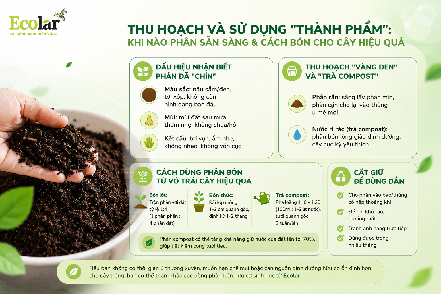 Thu Hoạch Và Sử Dụng 'Thành Phẩm': Khi Nào Phân Sẵn Sàng & Cách Bón Cho Cây Hiệu Quả