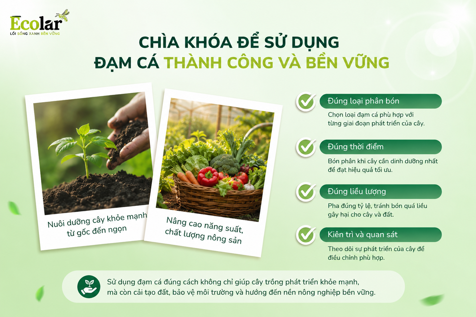 Tổng Kết: Chìa Khóa Để Sử Dụng Đạm Cá Thành Công và Bền Vững