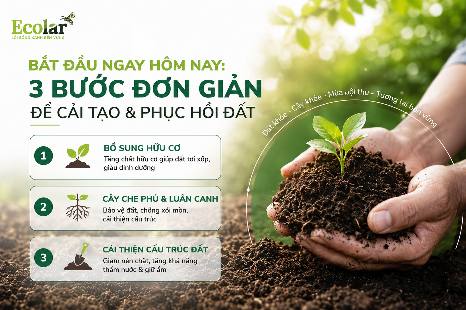 Đi Tìm Gốc Rễ: Tại Sao Đất Bị Mất Hữu Cơ, Chai Cứng và Suy Kiệt?