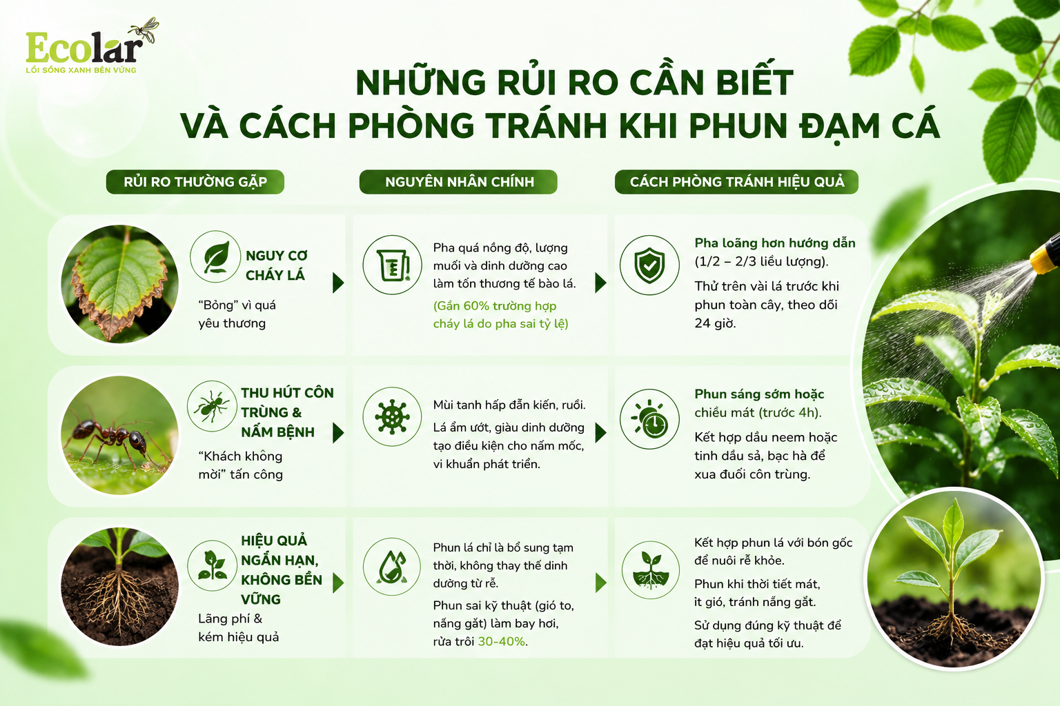 Những Rủi Ro Cần Biết và Cách Phòng Tránh Khi Phun Đạm Cá