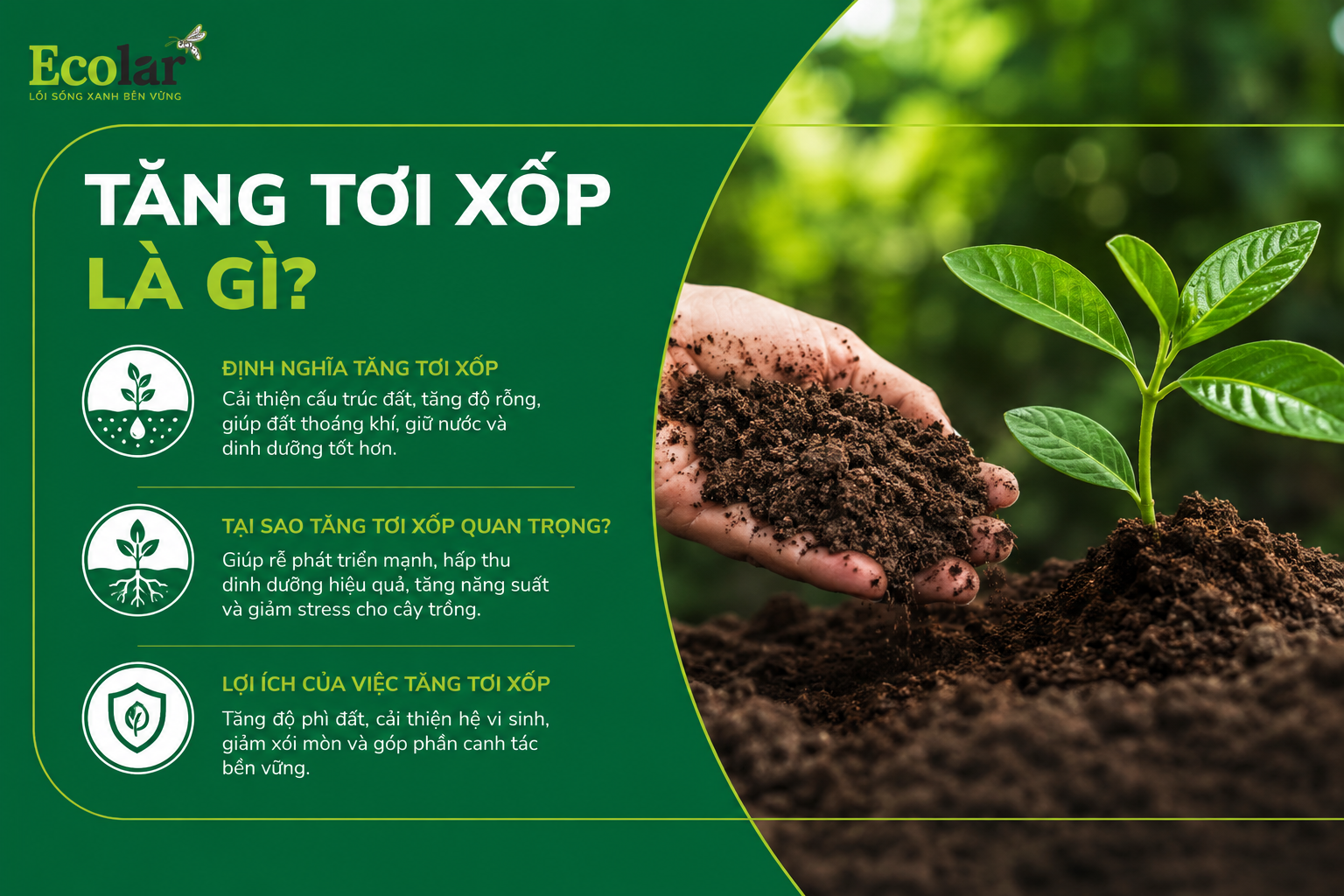 Tăng Tơi Xốp Là Gì?