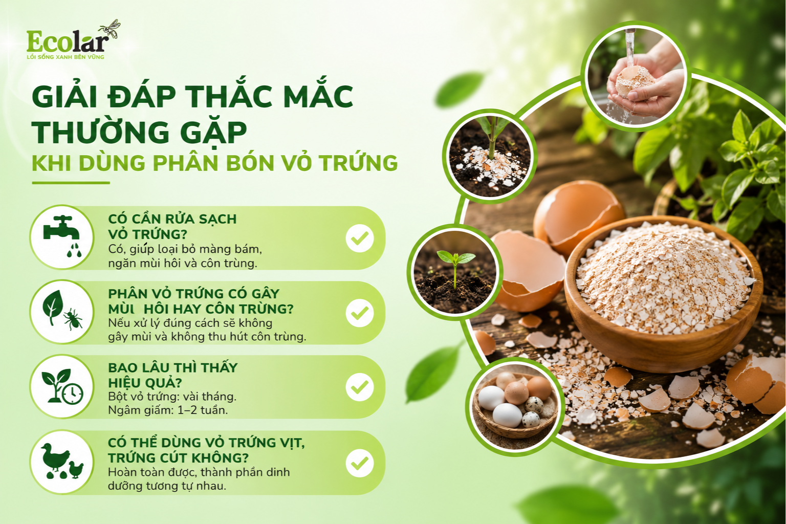 Giải Đáp Thắc Mắc Thường Gặp Khi Dùng Phân Bón Vỏ Trứng