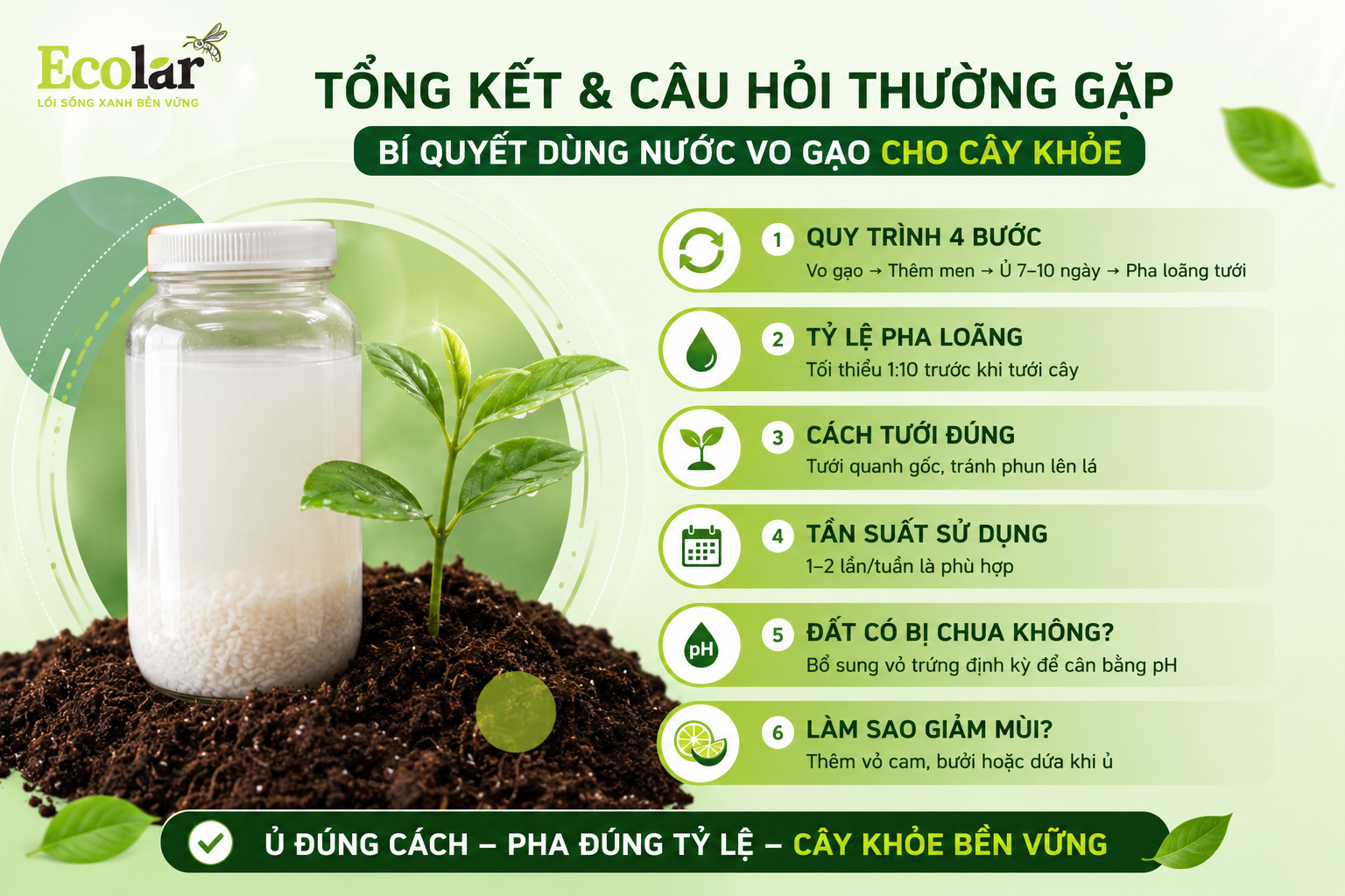 Tổng Kết & Câu Hỏi Thường Gặp (FAQ)