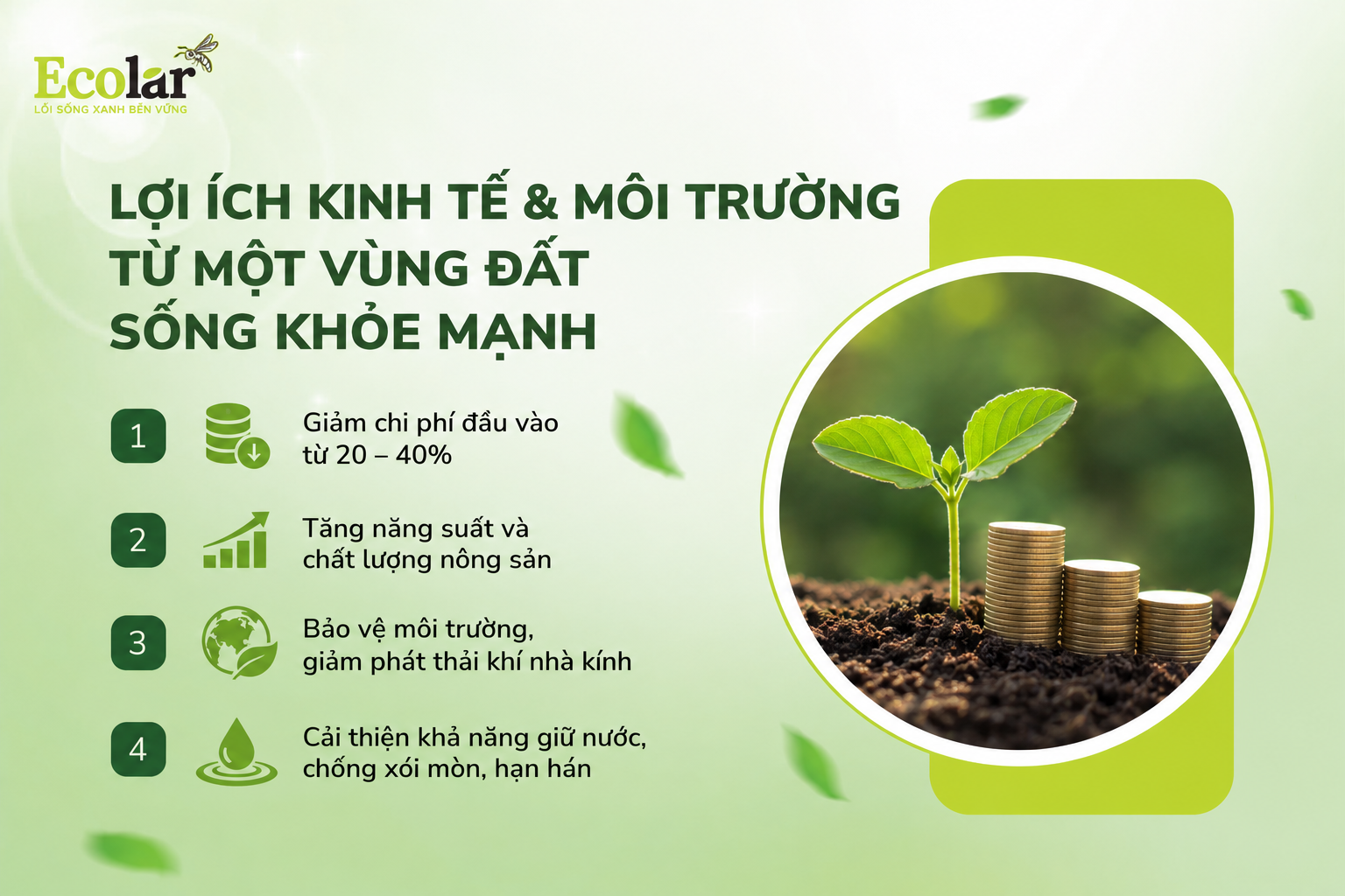 Hướng Tới Tương Lai: Lợi Ích Kinh Tế & Môi Trường Từ Một Vùng Đất Sống Khỏe Mạnh