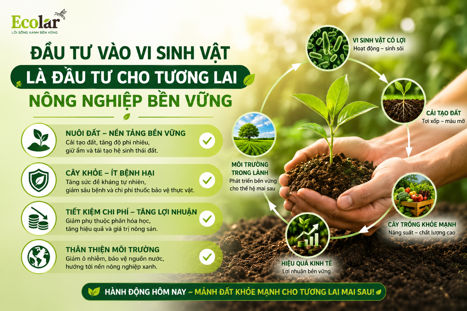 Kết Luận: Đầu Tư Vào Vi Sinh Vật Là Đầu Tư Cho Tương Lai Nông Nghiệp Bền Vững