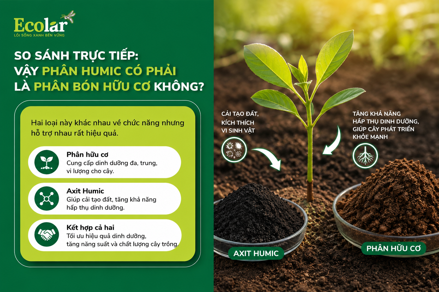So Sánh Trực Tiếp: Vậy Phân Humic CÓ PHẢI Là Phân Bón Hữu Cơ Không?