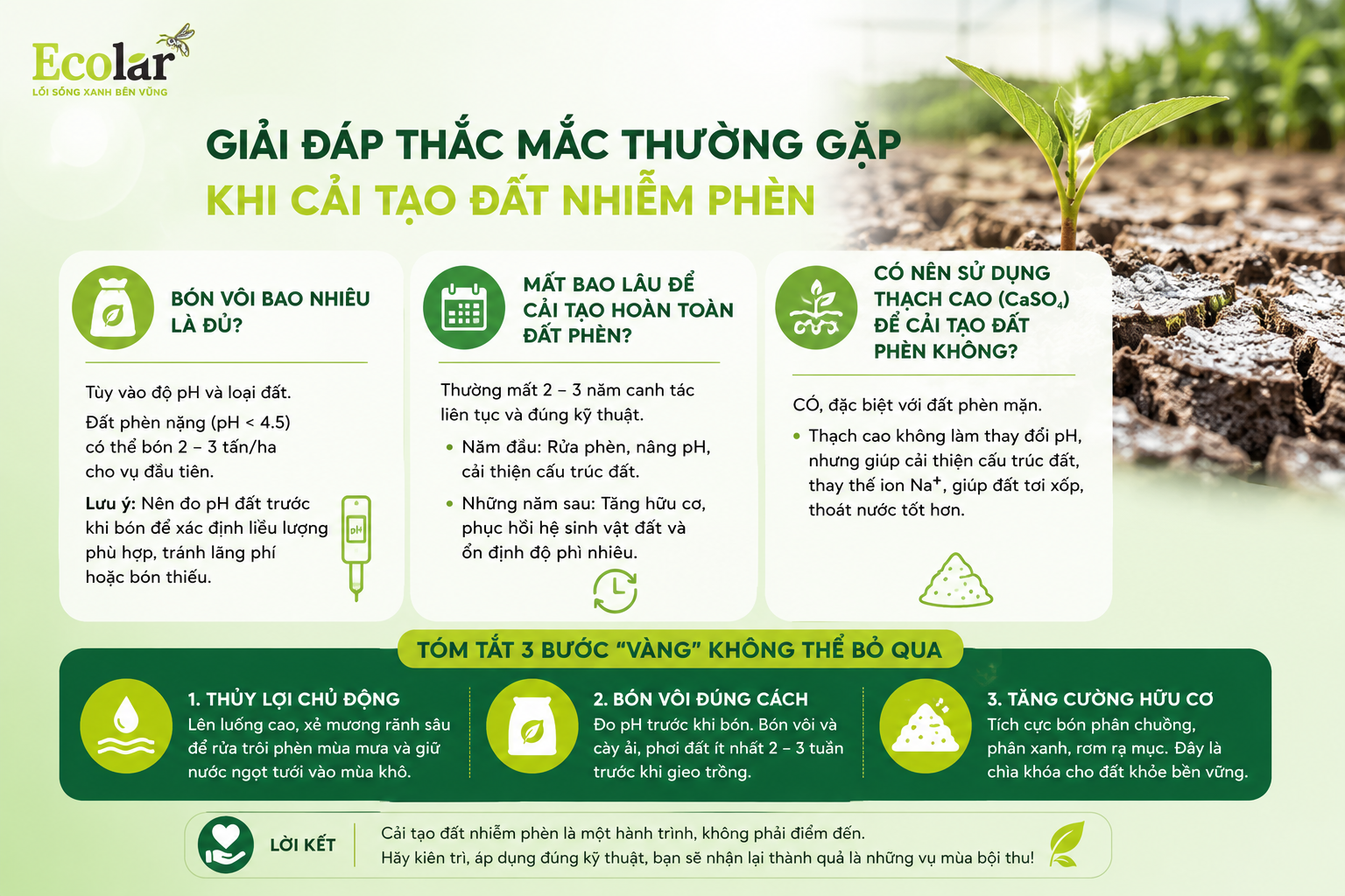 Các Phương Pháp Bổ Sung Giúp Tối Ưu Hóa Quá Trình Cải Tạo