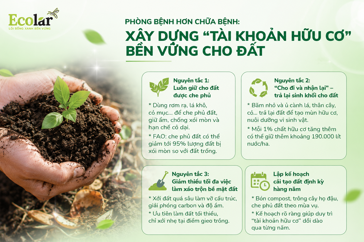 Phòng Bệnh Hơn Chữa Bệnh: Cách Xây Dựng 'Tài Khoản Hữu Cơ' Bền Vững Cho Đất