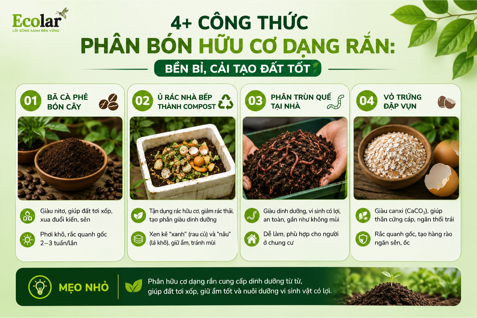 4+ Công Thức Phân Bón Hữu Cơ Dạng Rắn: Bền Bỉ, Cải Tạo Đất Tốt