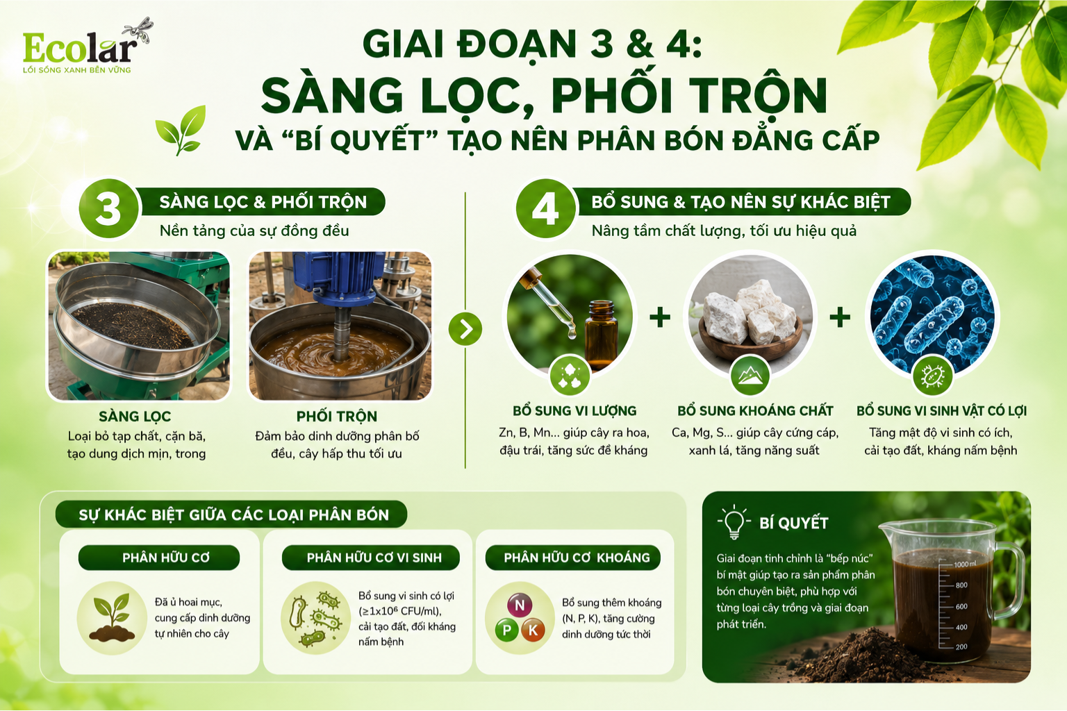 Giai Đoạn 3 & 4: Sàng Lọc, Phối Trộn và 