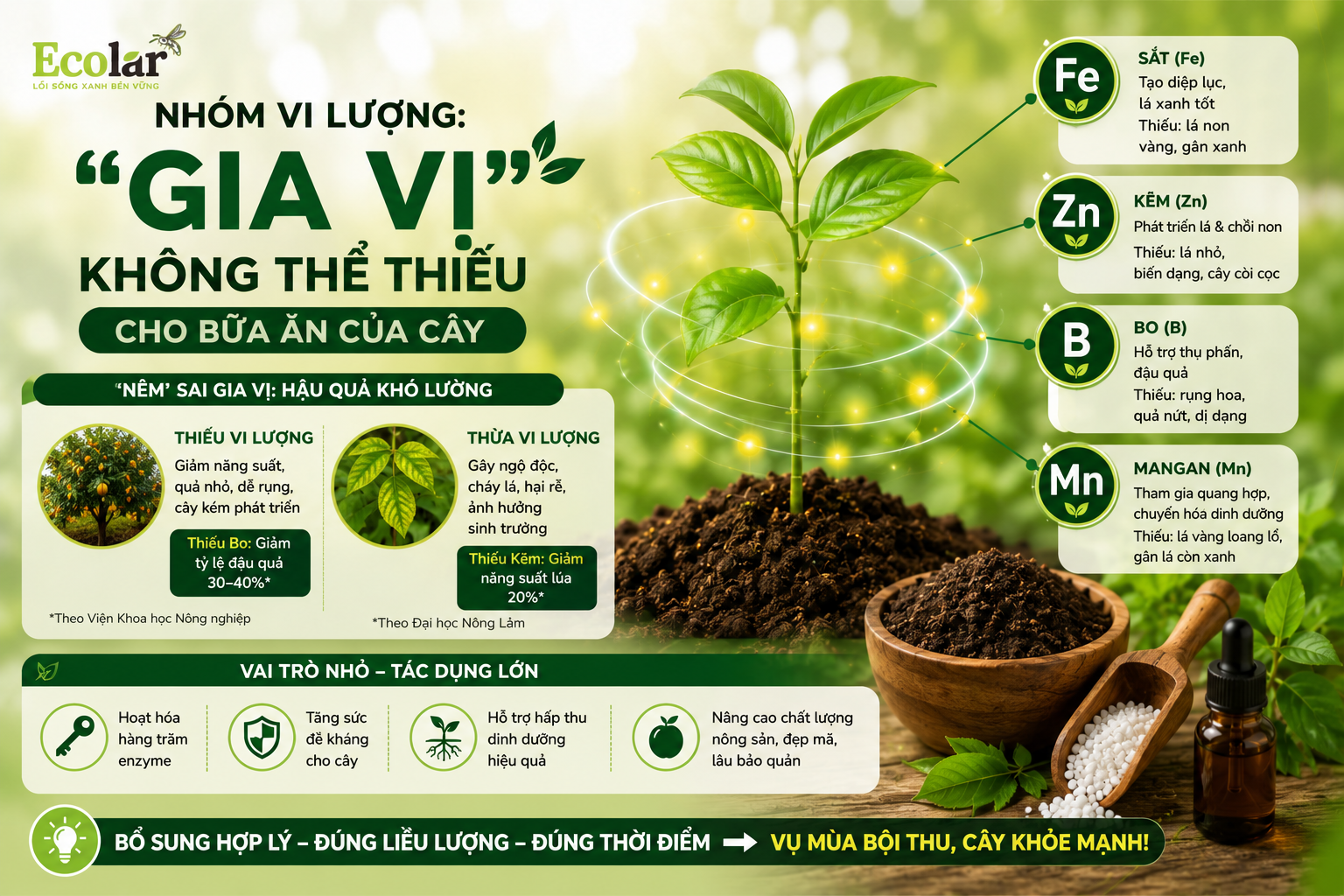 Nhóm Vi Lượng: 'Gia Vị' Không Thể Thiếu Cho Bữa Ăn Của Cây