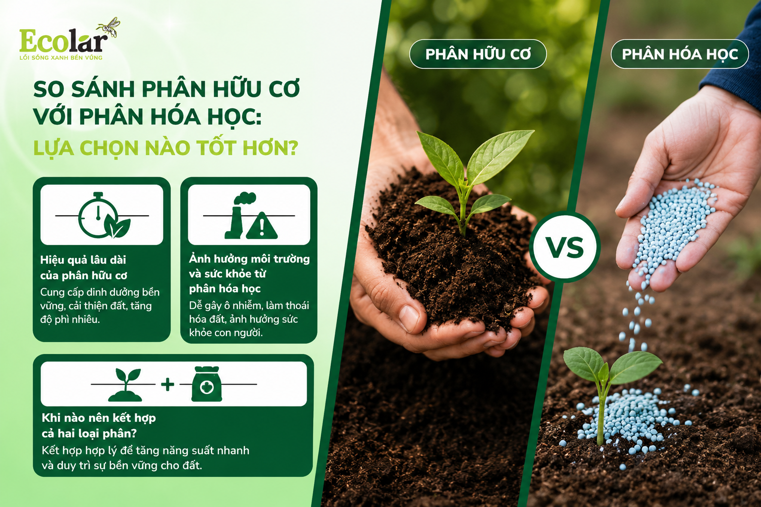 So Sánh Phân Hữu Cơ Với Phân Hóa Học: Lựa Chọn Nào Tốt Hơn?