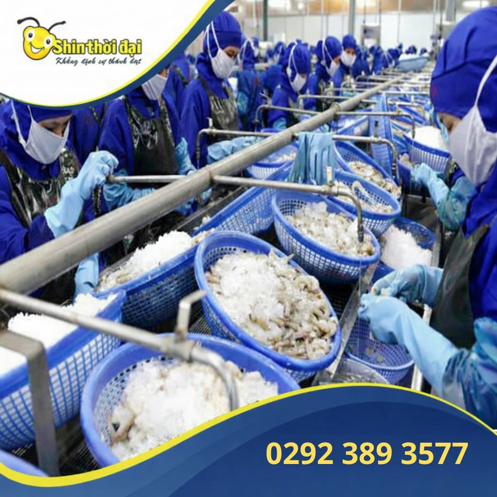 DỊCH VỤ CUNG ỨNG VÀ QUẢN LÝ NGUỒN LAO ĐỘNG CẦN THƠ