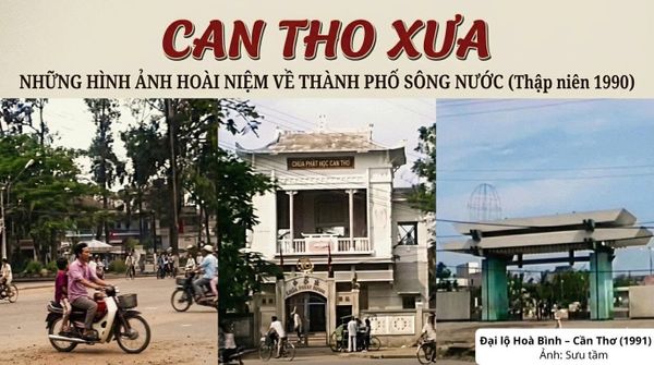 Đại Lộ Hòa Bình Cần Thơ Năm 1991: Khúc Giao Mùa Của Ký Ức Và Đổi Thay