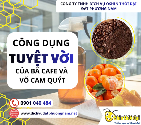 Tận dụng bã cafe và vỏ cam quýt để làm chất tẩy rửa tự nhiên tại văn phòng
