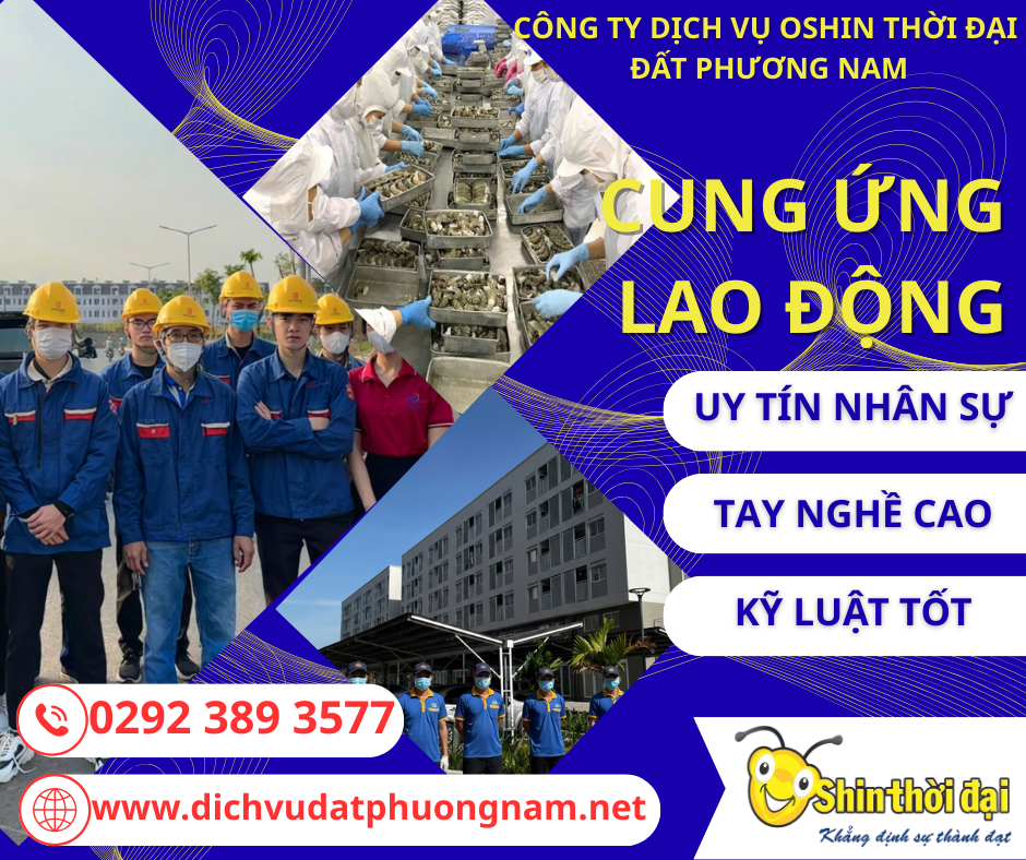 Cung ứng lao động Cần Thơ 2026: Giải pháp nhân sự linh hoạt cho kỷ nguyên số