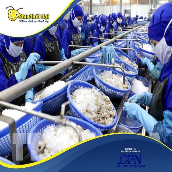 DỊCH VỤ CUNG ỨNG VÀ QUẢN LÝ NGUỒN LAO ĐỘNG CẦN THƠ