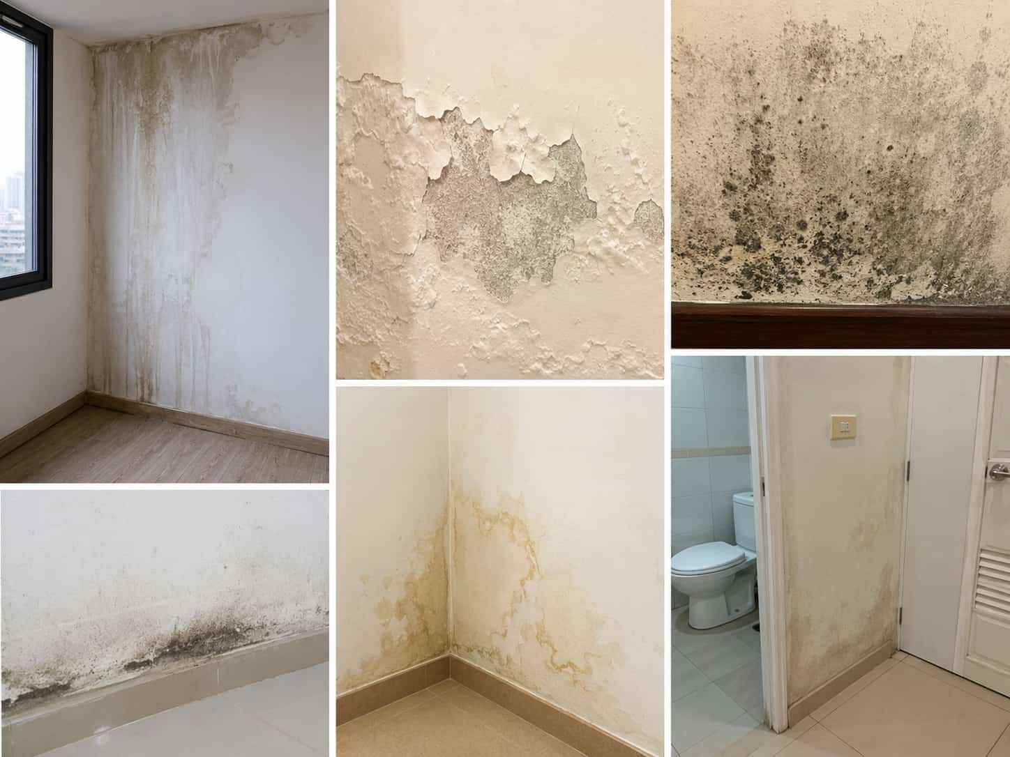 Tường Bị Thấm Nước: Nguyên Nhân & 7 Cách Xử Lý Hiệu Quả
