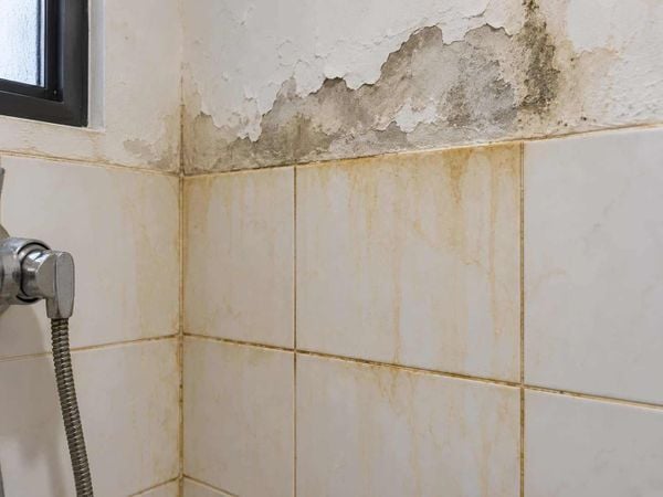 Gạch ốp tường bị ố vàng