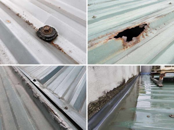Vì sao mái tôn bị dột