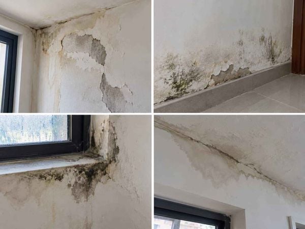 Trường hợp 4: Tường nứt kèm thấm nước