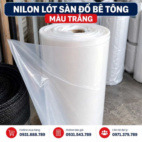 Cán nền