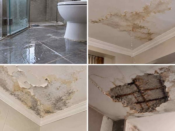 Nhà vệ sinh bị thấm nước xuống tầng dưới
