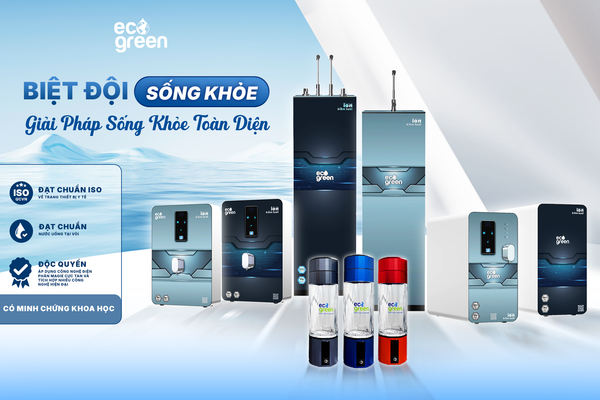 Hệ miễn dịch mùa hè: Bảo vệ cơ thể từ “gốc” là đường ruột