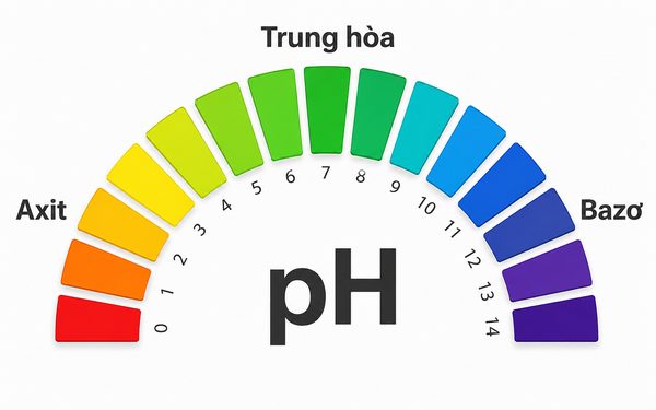 Độ pH trong cơ thể người là gì? Hiểu đúng về cân bằng pH và nước ion kiềm