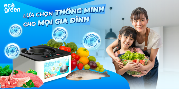 Thực phẩm sạch chưa chắc đã an toàn — Giải pháp làm sạch chủ động từ công nghệ điện phân Ti–Pt