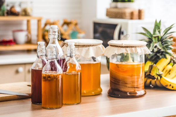 Kombucha là gì? Những lợi ích của trà kombucha và lưu ý khi uống