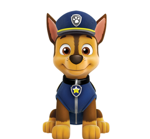 PAW PATROL