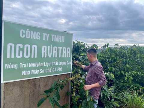 TRUY XUẤT NGUỒN GỐC NGON AVATAR FARM