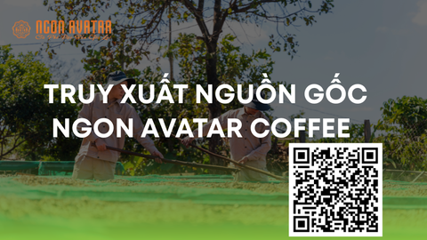 TRUY XUẤT NGUỒN GỐC NGON AVATAR FARM
