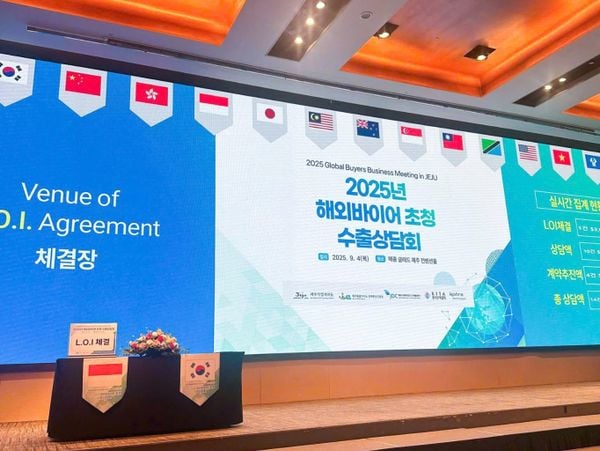 ✨ N&M 2025 Global Buyers Business Meeting in JEJU
