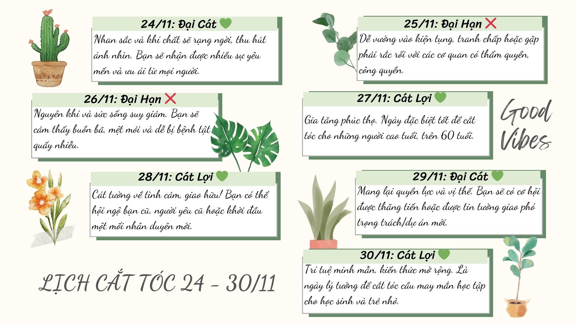 🌙 Bí Quyết Cát Tường: Chọn Ngày Vàng Cắt Tóc Từ 24/11 – 30/11/2025