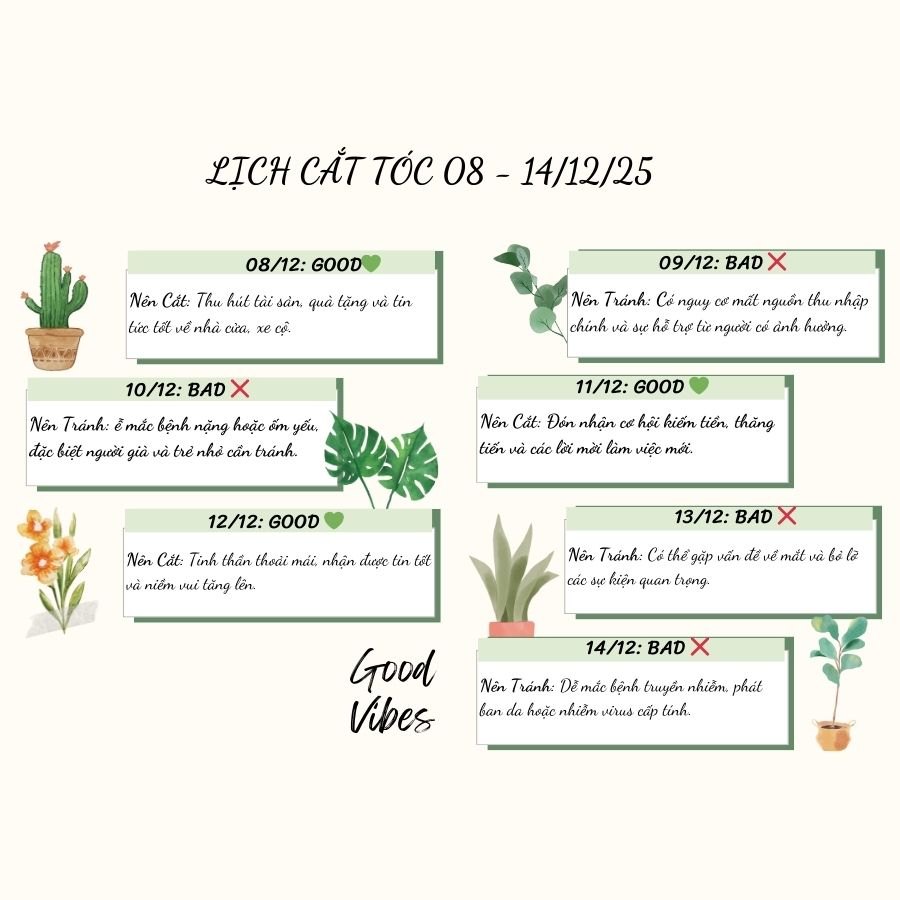 🌿 Thanh Lọc Năng Lượng Đầu Đông: Lịch Cắt Tóc Kích Hoạt Vận Khí Tuần 8/12 - 14/12