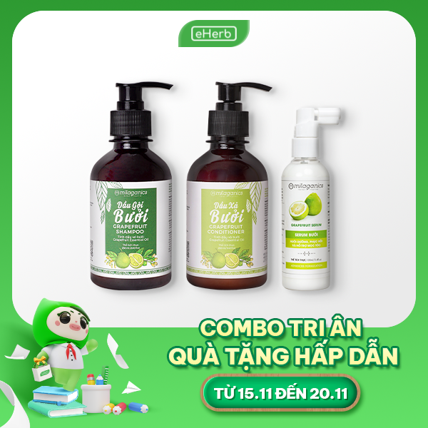 Quà Tặng 20.11 Cho Thầy Giáo: Combo Dưỡng Tóc Nam Daily Fresh Hair Set