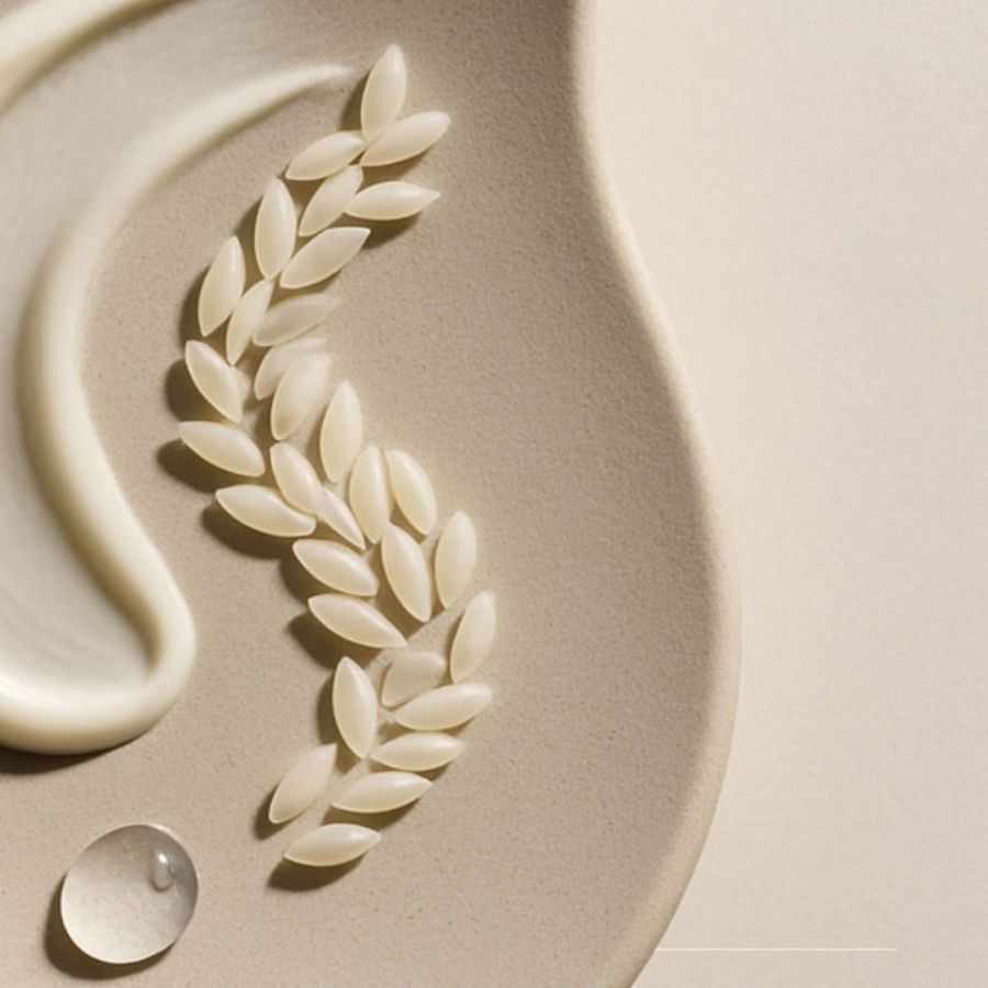 Body Oil Dầu Cám Gạo Là Gì? Xu Hướng Dưỡng Da Body Được Ưa Chuộng