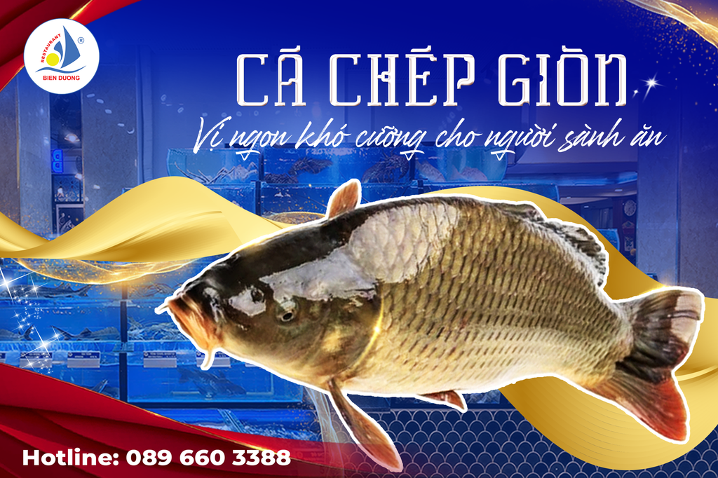 CÁ CHÉP GIÒN VỊ NGON KHÁC BIỆT CHO NGƯỜI SÀNH ĂN