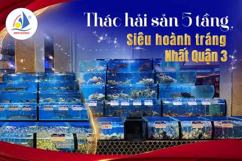 THÁC HẢI SẢN HOÀNH TRÁNG