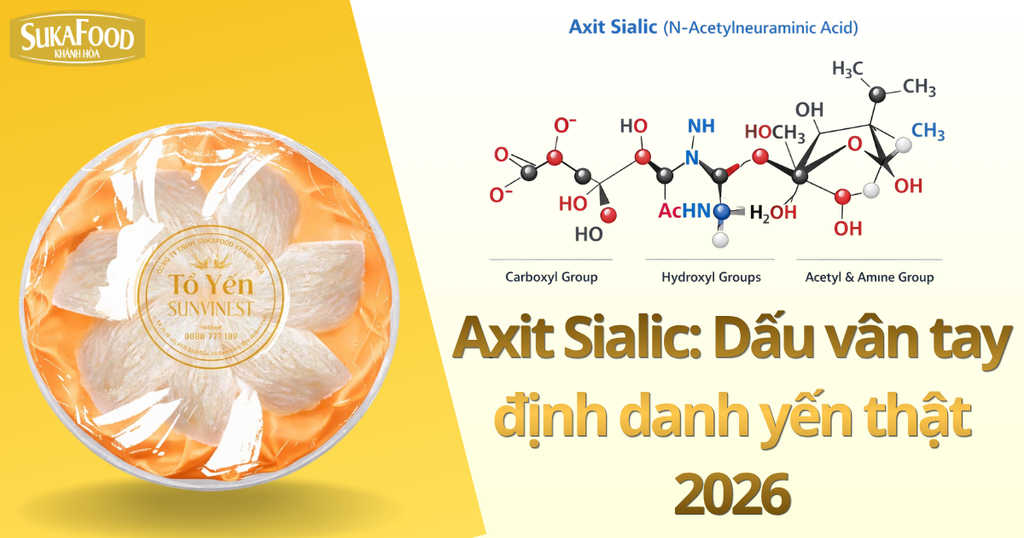 Axit Sialic: Chuẩn Định Danh Yến Thật 2026 Không Thể Làm Giả