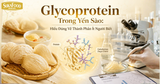 Glycoprotein Trong Yến Sào Là Gì? Hiểu Đúng Về Thành Phần Ít Người Biết